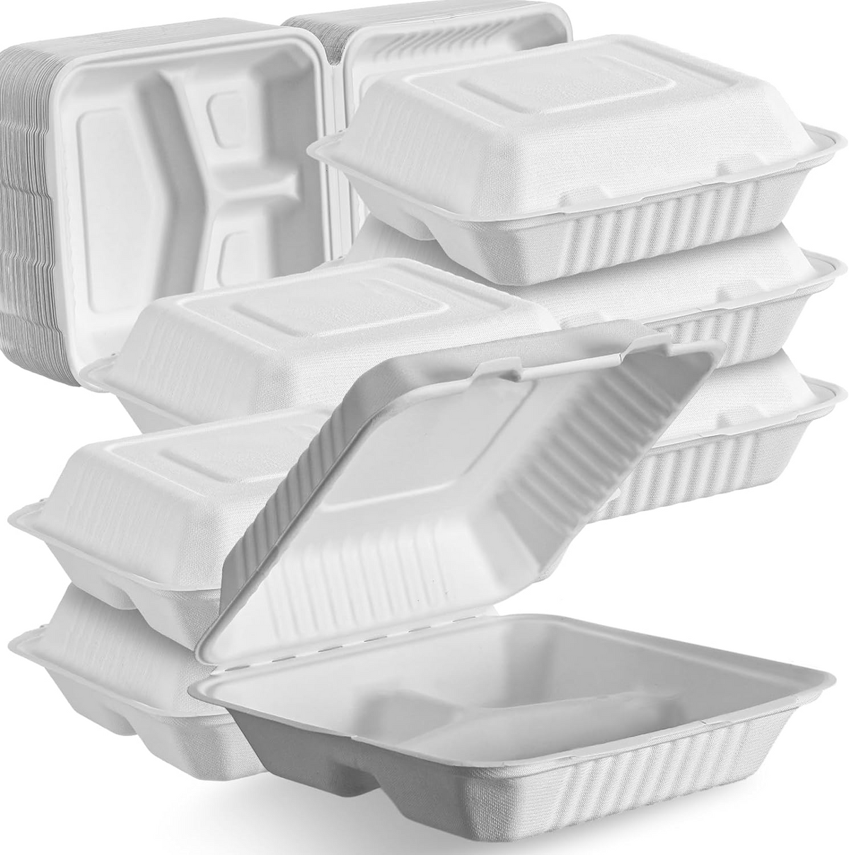 Foam Hinged Lid Containers 9 x 9 x 3 Inch